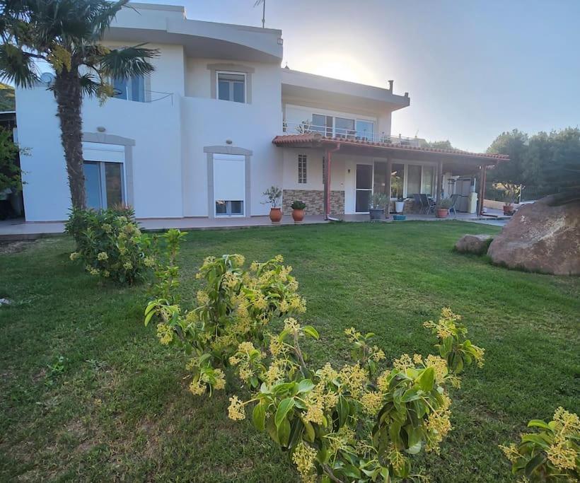 Willa Lux House With Garden Kámpos Zewnętrze zdjęcie